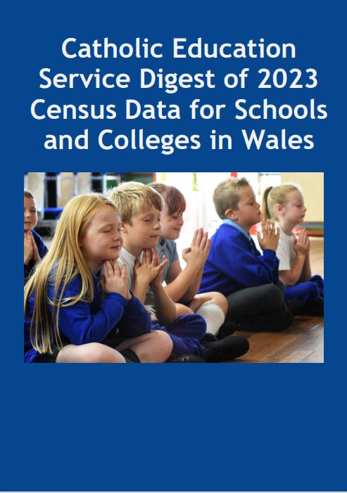 CES census 2023 front cover Wales
